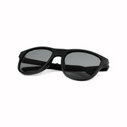 #lens-style_polarised